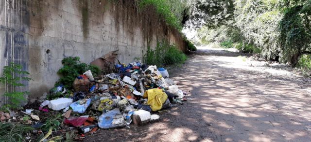 Inicia plan de limpieza de áreas verdes en Alto Senac