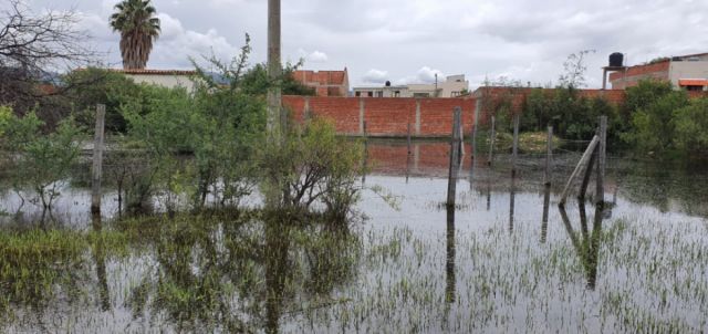 Censo identifica unos 800 lotes baldíos en Cercado-Tarija