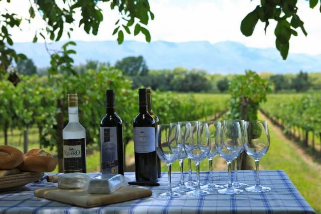 Vinos y turismo, principal oferta  de Tarija para ExpoBol Usa 2021 