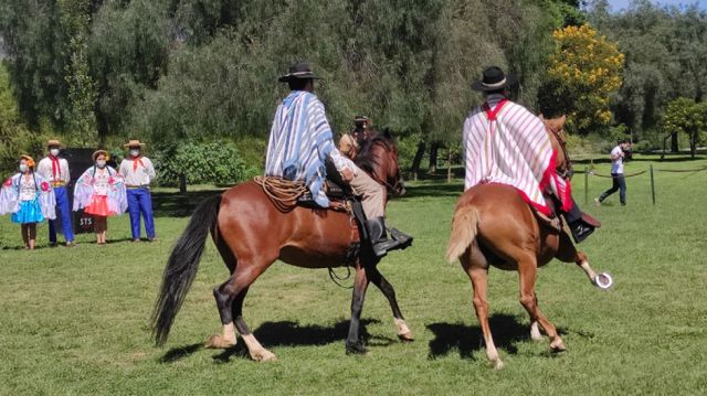 Los caballos luciéndose ante el público