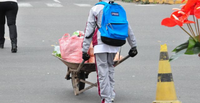 Los niños trabajadores en Tarija y  la inalcanzable educación virtual