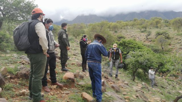 Comunarios dicen que denunciaron hace dos semanas la muerte de cóndores en Tarija