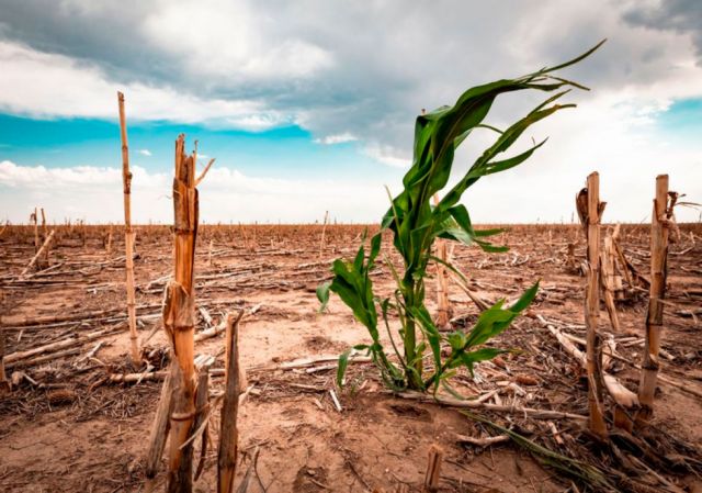 La crisis climática y su relación directa con el Covid-19