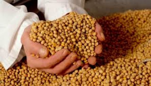 Gobierno pide a productores reflexionar en precios para la soya