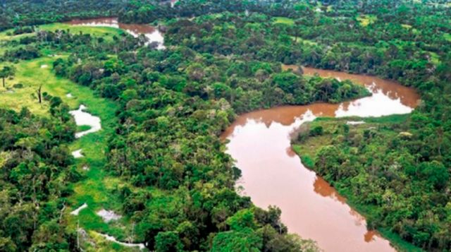 Siete pandemias amenazan de muerte a la Amazonía