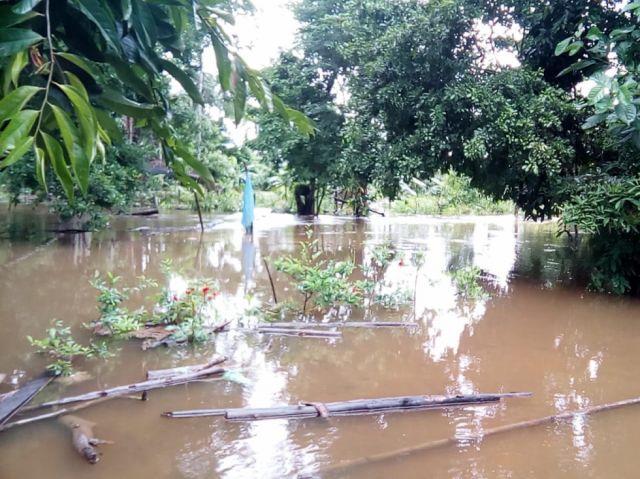 Bolivia registra 36.839 hectáreas afectadas por riadas e inundaciones