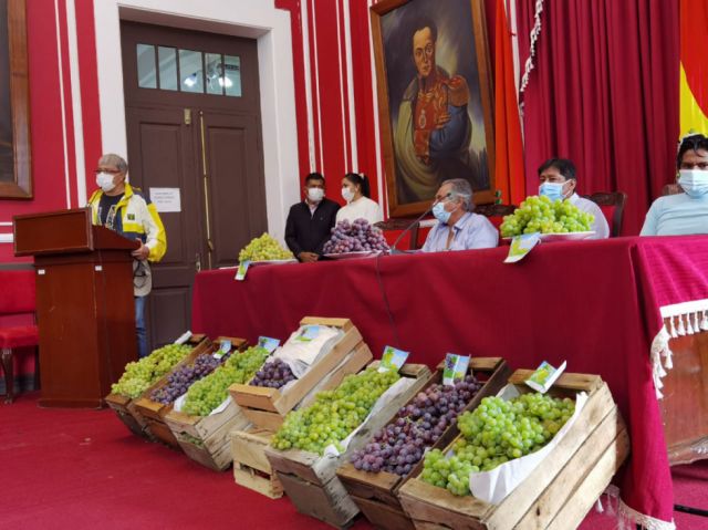 Viticultores de Tarija envían a Paraguay las primeras 1.780 cajas de uva