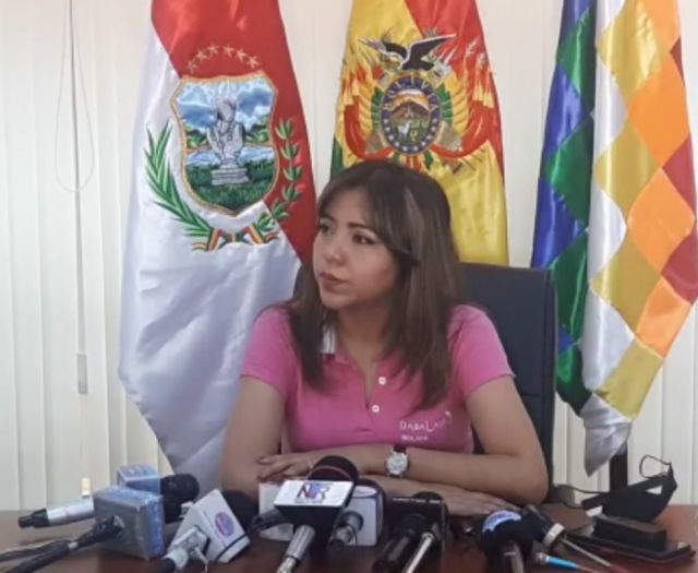 Viceministra Alcón socializa el plan de vacunación anticovid en Tarija