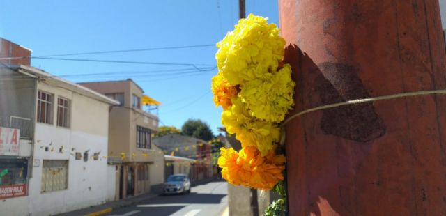 Hoteleros apuestan por el turismo  interno para reactivar el sector 