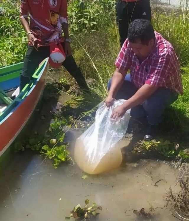 En 7 represas de Tarija impulsan la cría de alevines