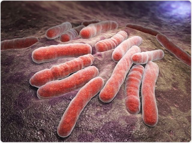 Tarija registra 24 casos de tuberculosis en lo que va del año