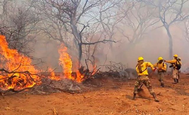 Instan al gobierno a abrogar normas "incendiarias"