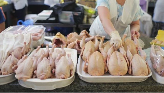 Incremento del precio de granos eleva el costo del pollo y huevo en Tarija