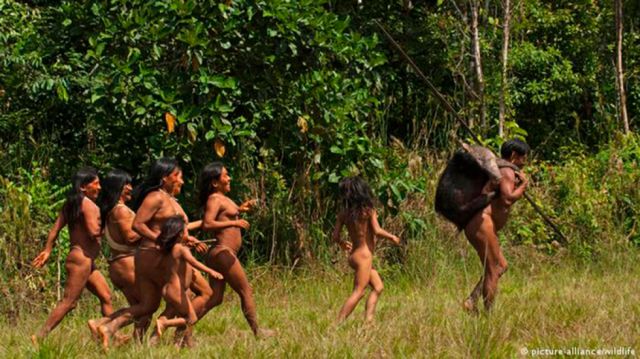 Indígenas, los mejores guardianes de los bosques