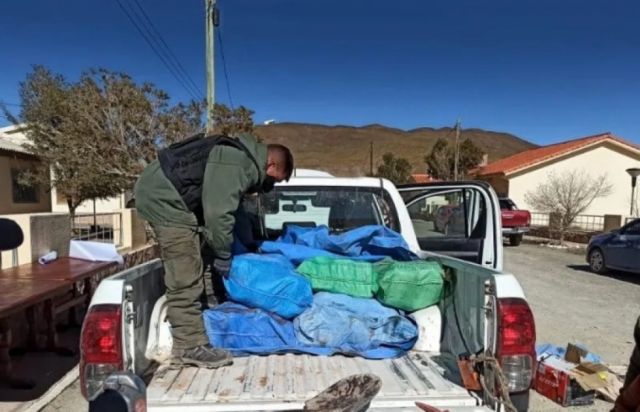 Incautan 105 kilos de “faso” y 43 de “cocaína” en Salta