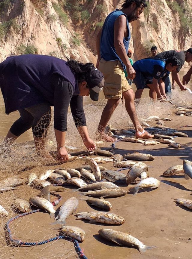 Pilcomayo, indígenas en Tarija piden levantar la veda por la crisis