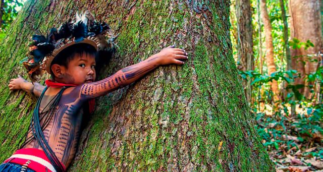 Los indígenas, los guardianes de los bosques en América Latina