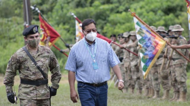 Comienza erradicación  de la coca excedentaria 