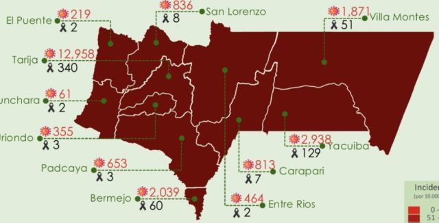 Tarija reportó 36 nuevos casos de Covid-19 