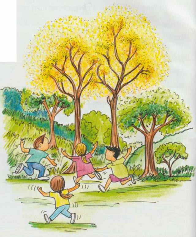 Racimos de niños