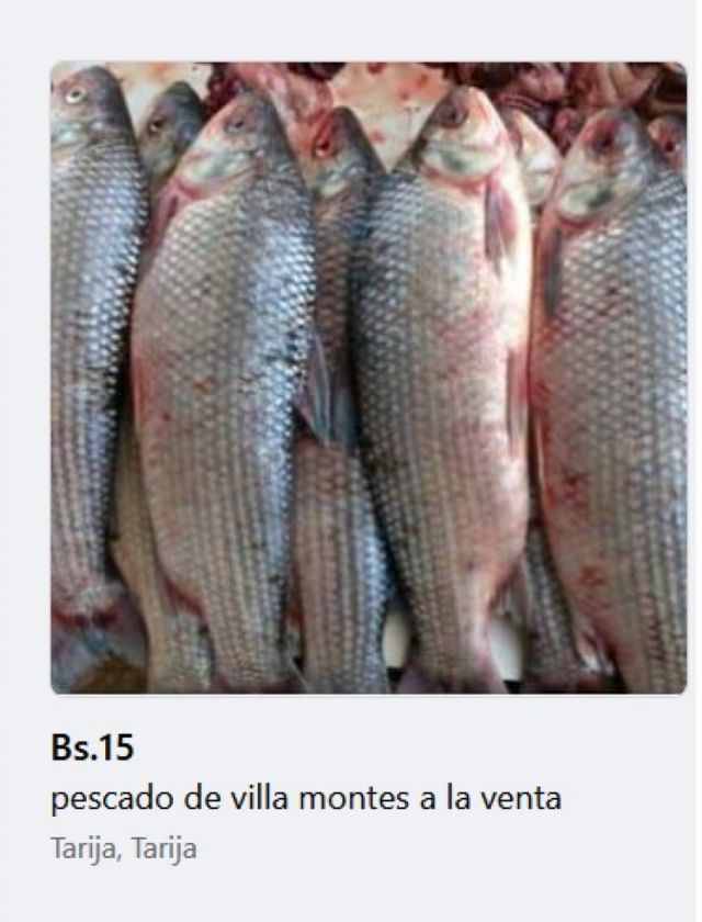 Venta de pescado en las redes dificultó controles en Tarija