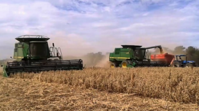CANIOB rechaza propuesta de impuesto a las agroexportaciones