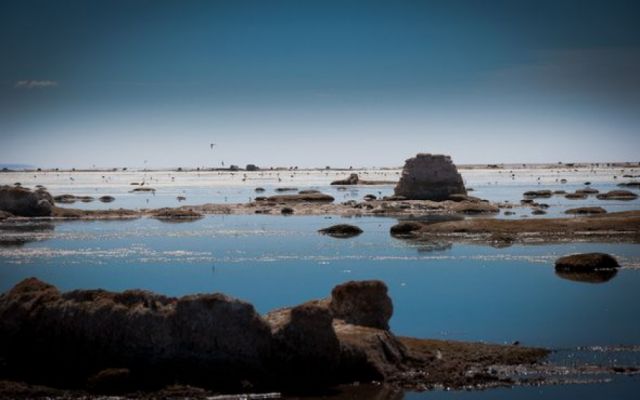 Espejo de agua del lago Uru Uru se redujo por factores medioambientales