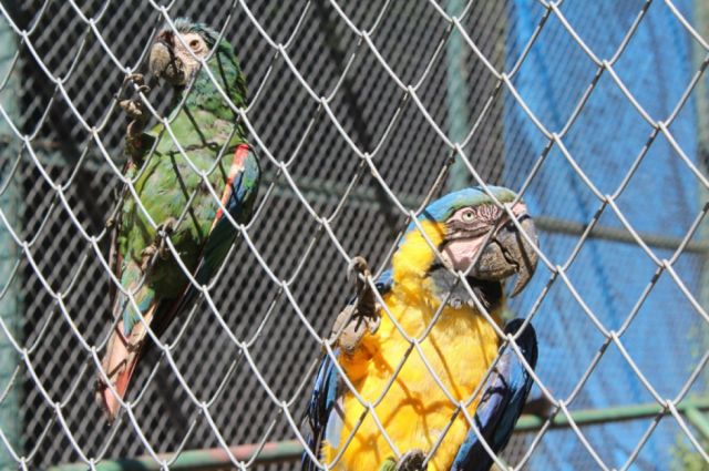 Paz y naturaleza, la belleza del Bioparque Urbano en Tarija