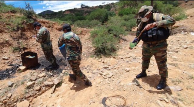 FELCN incinera cocaína y marihuana incautadas en Tarija