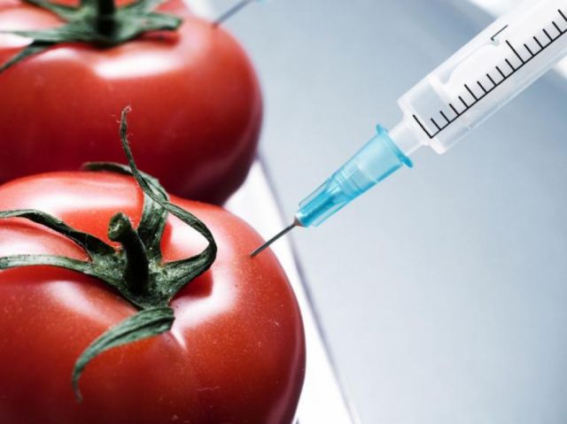 Arce abroga decretos que autorizan la producción de alimentos transgénicos