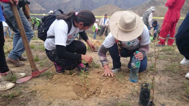 Actividades de reforestación en Sama