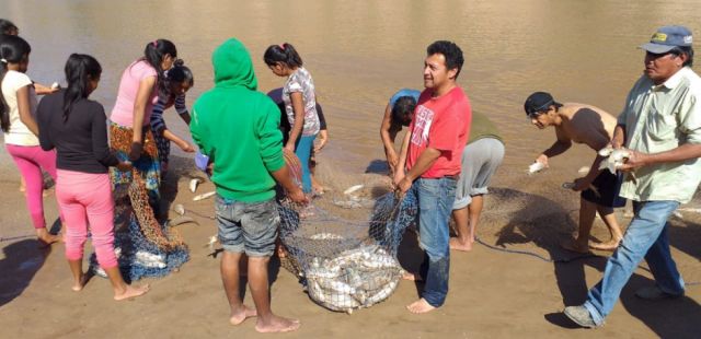 Pesca en el Pilcomayo sustenta a 7.300 familias weenhayekes en Tarija