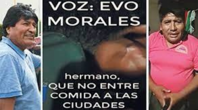 Diputado del MAS afirma que no corresponde autorizar juicio de responsabilidades a Evo por caso audio