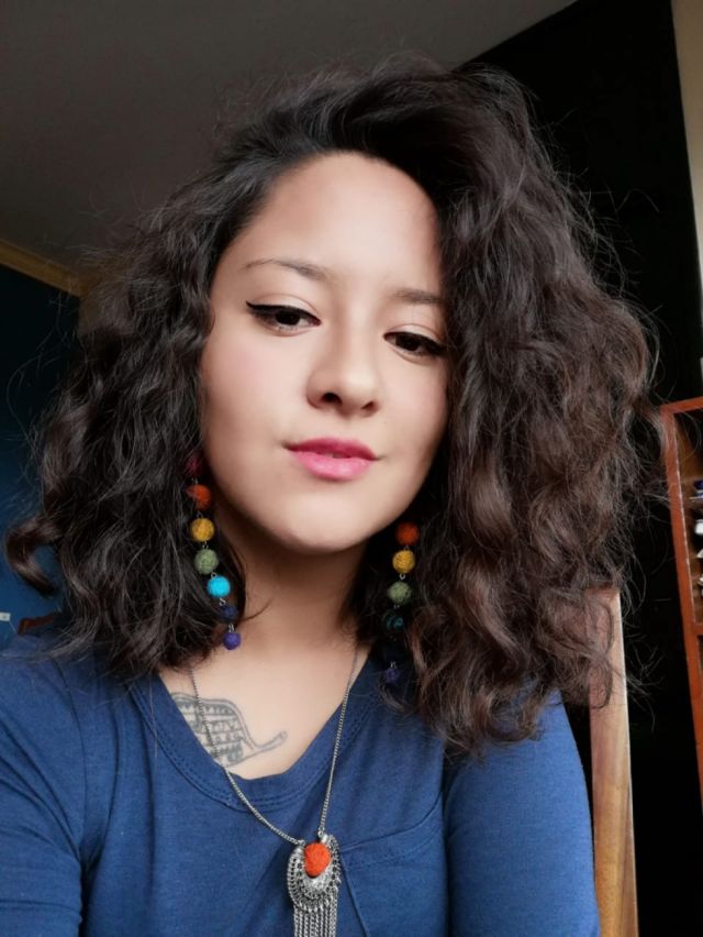 Mariana Villaroel, el arte y el diseño