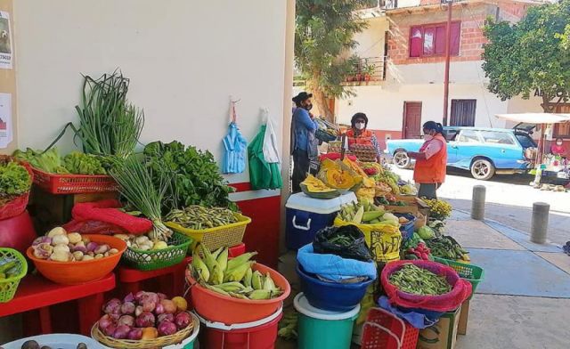 Solo en el centro de Tarija hay más de 70 vendedores ambulantes