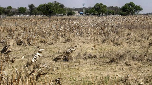 Sequía: Brasil enfrenta la peor racha seca en 91 años
