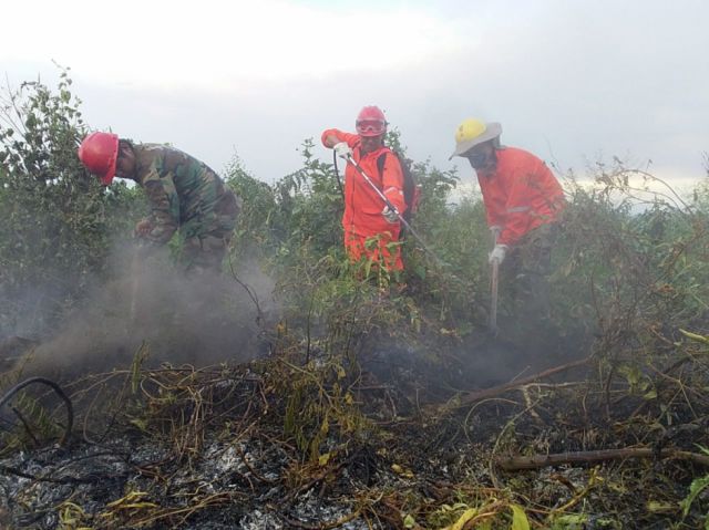 El fuego en Otuquis afectó a 2.450 ha de pastizales