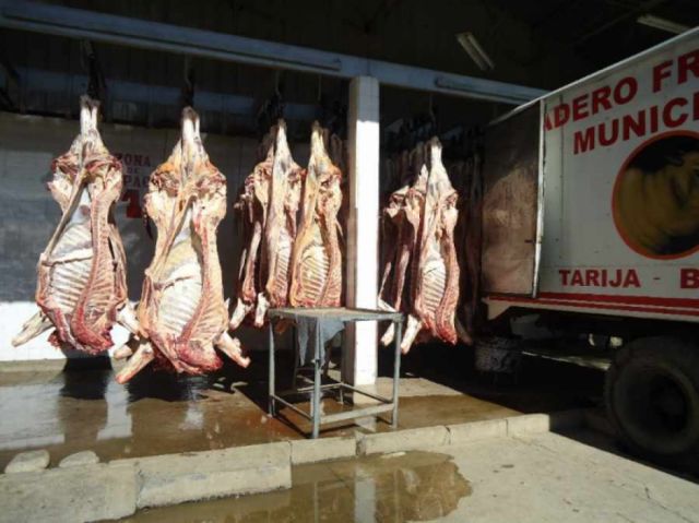 Identifican seis mataderos ilegales de cerdos en Tarija