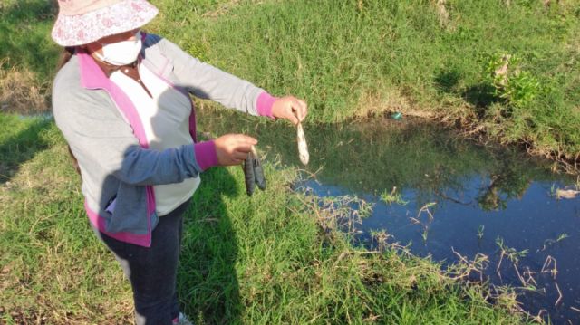 Defensoría investiga contaminación de vertientes de agua en Campo Pajoso-Yacuiba