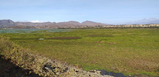 Por falta de fondos prevén para 2022 el dragado de San Jacinto