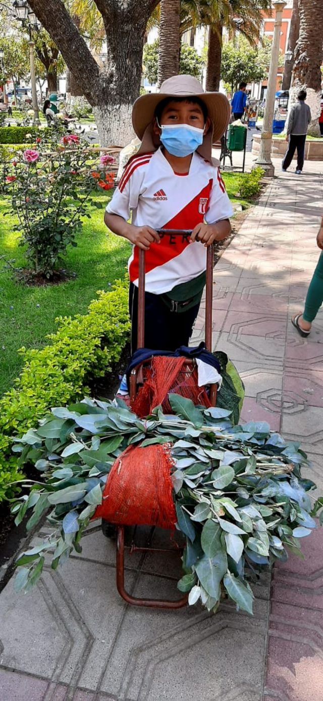 La pandemia y clases virtuales aumentaron el trabajo infantil en Tarija