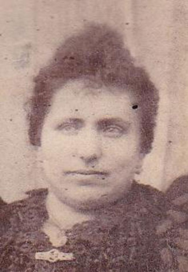 Ludovina