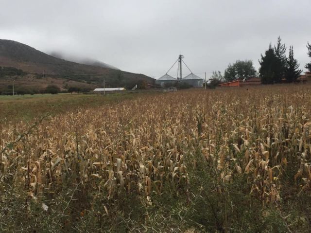 Senamhi pronostica temperaturas bajo cero en Tarija