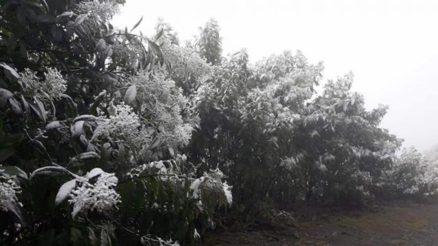 Reserva de Tariquía amaneció con un manto de nieve