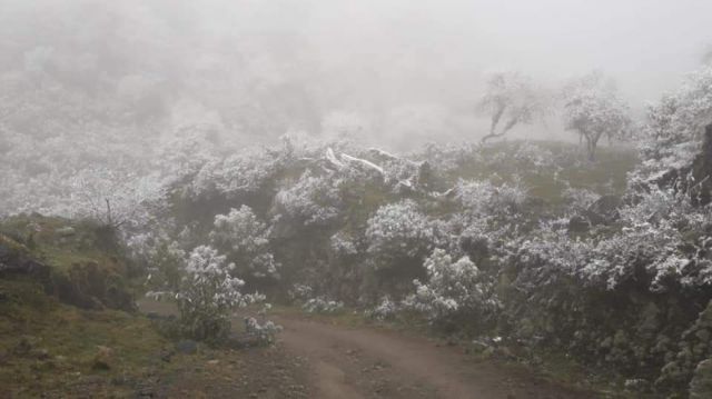 Reserva de Tariquía amaneció con un manto de nieve