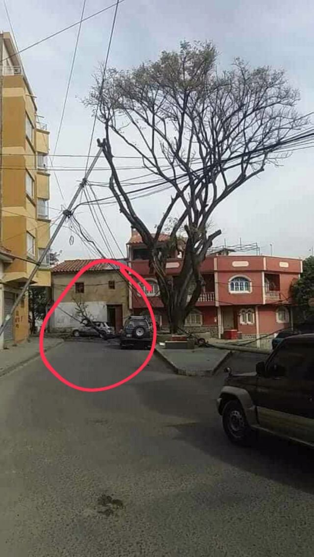 Árboles caídos en la ciudad