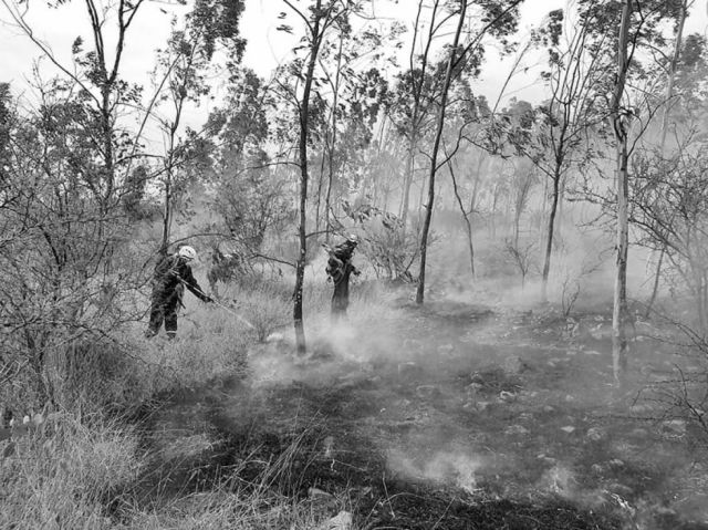 Suman más de 30 incendios forestales desde finales de mayo en Cercado-Tarija