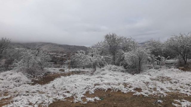 Nevada pinta de blanco los cerros de Padcaya en Tarija (Fotos)