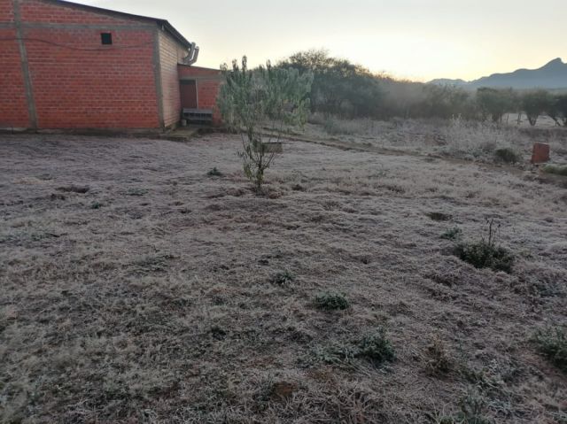 Heladas en la comunidad de Turumayo