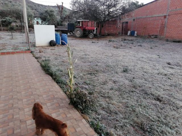 Senamhi: Tarija registró mínimas por debajo de los -7 grados centígrados (Fotos)